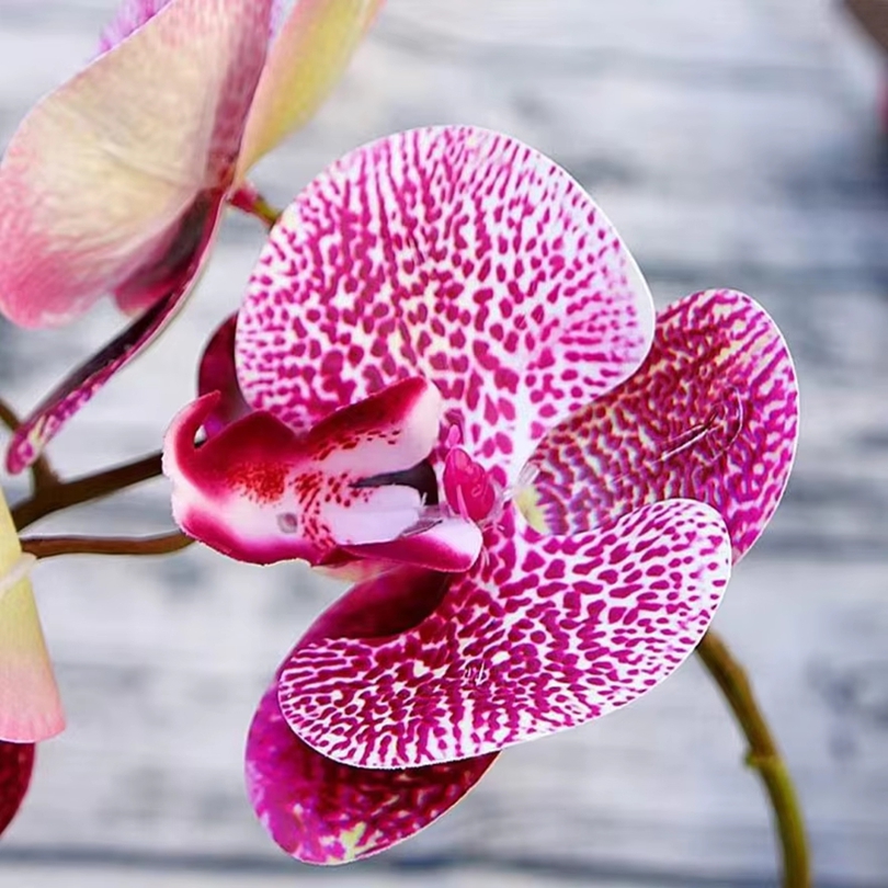 3d flores artificiais de plást - 3D Printing Vase avaliação e preço